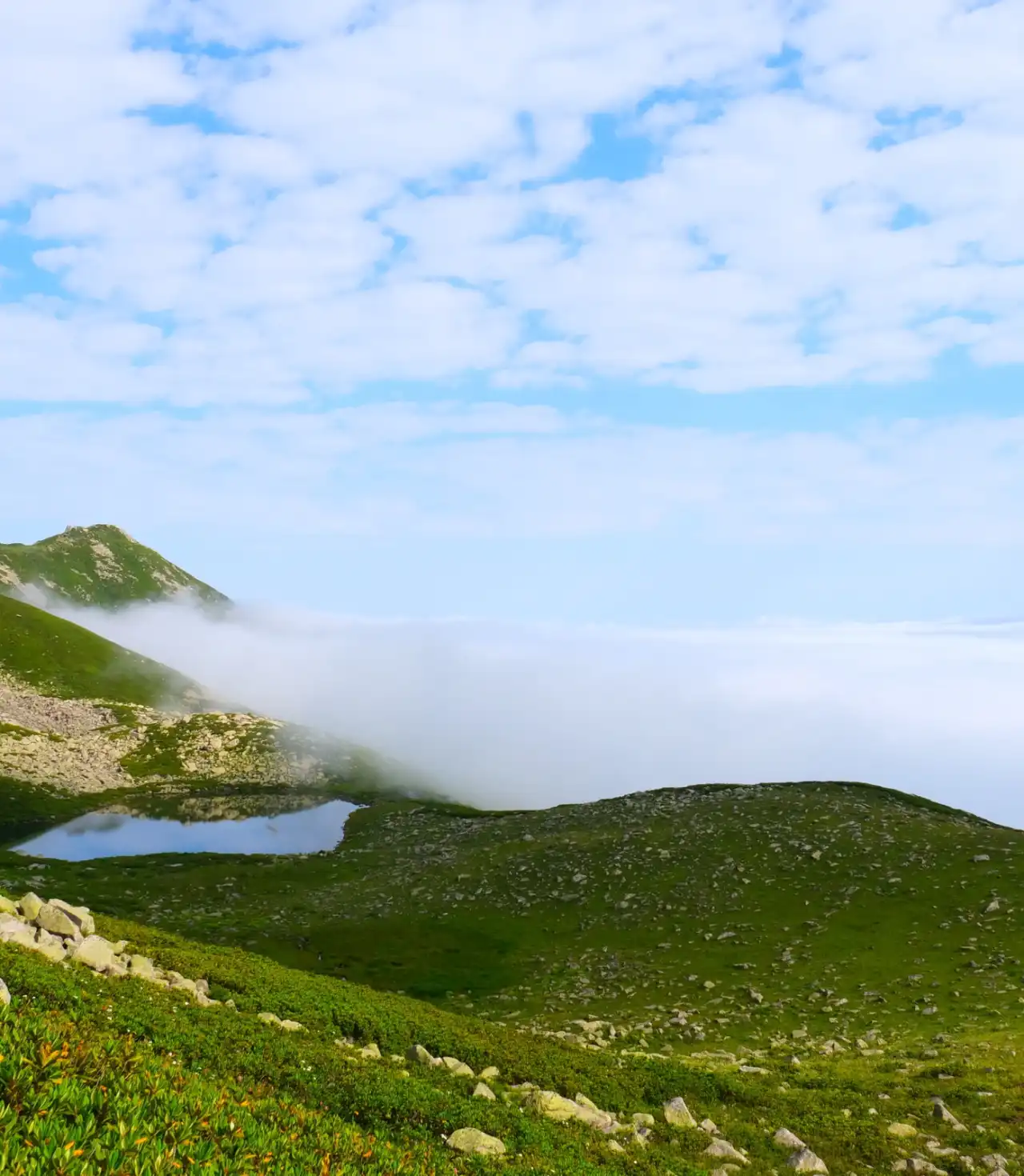 Yayla ve göllere orta seviyeli yürüyüşler