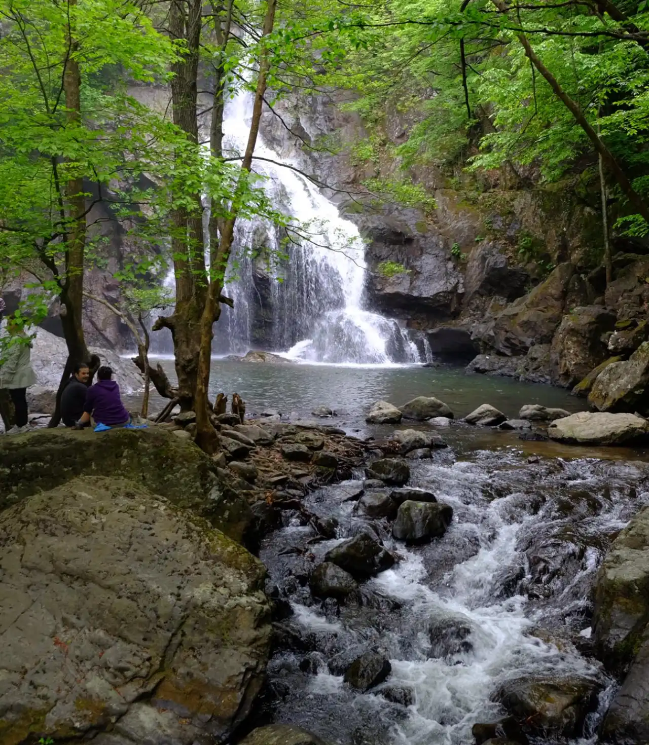 Günübirlik Erikli Yaylası