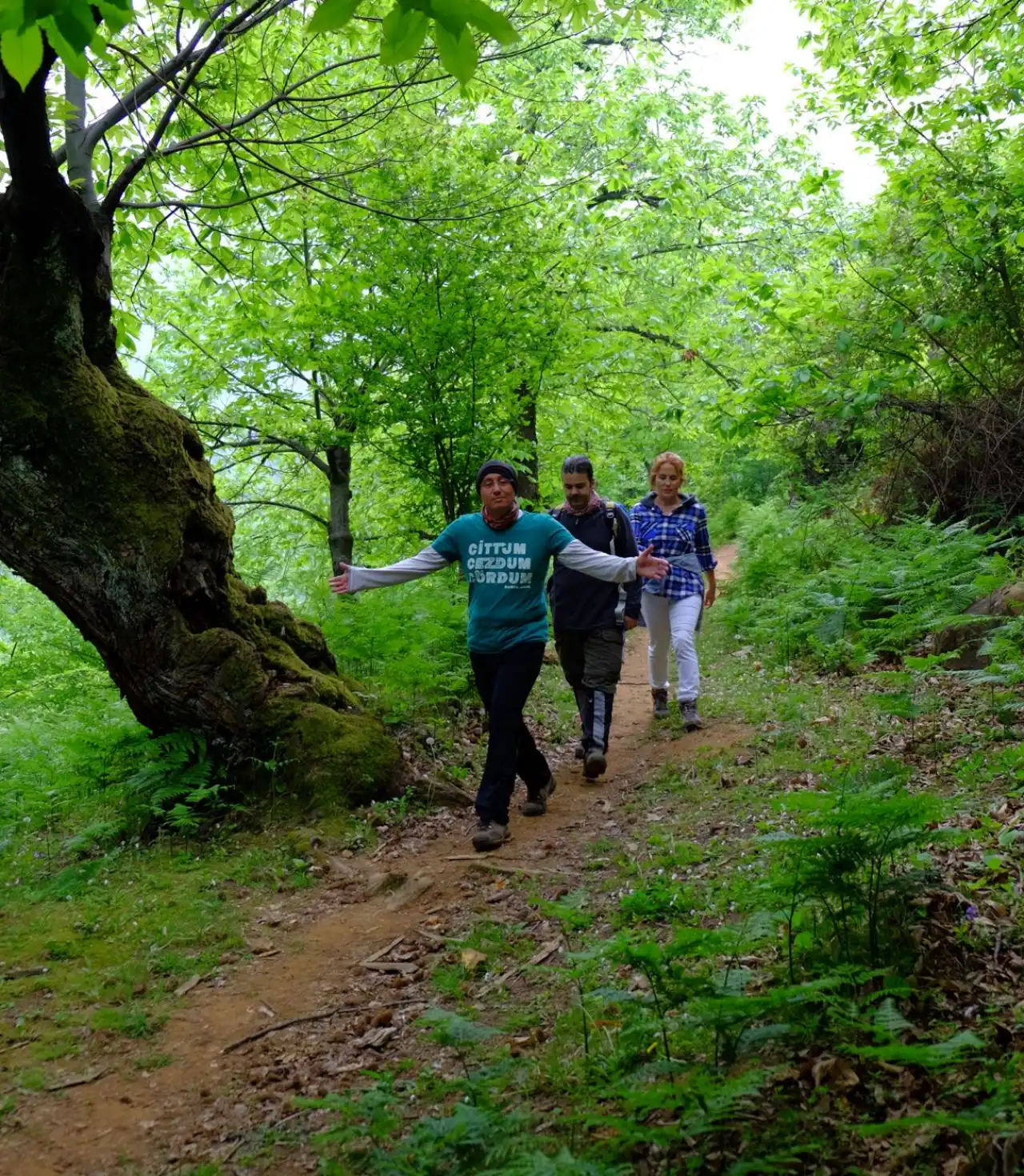 Günübirlik Erikli Yaylası