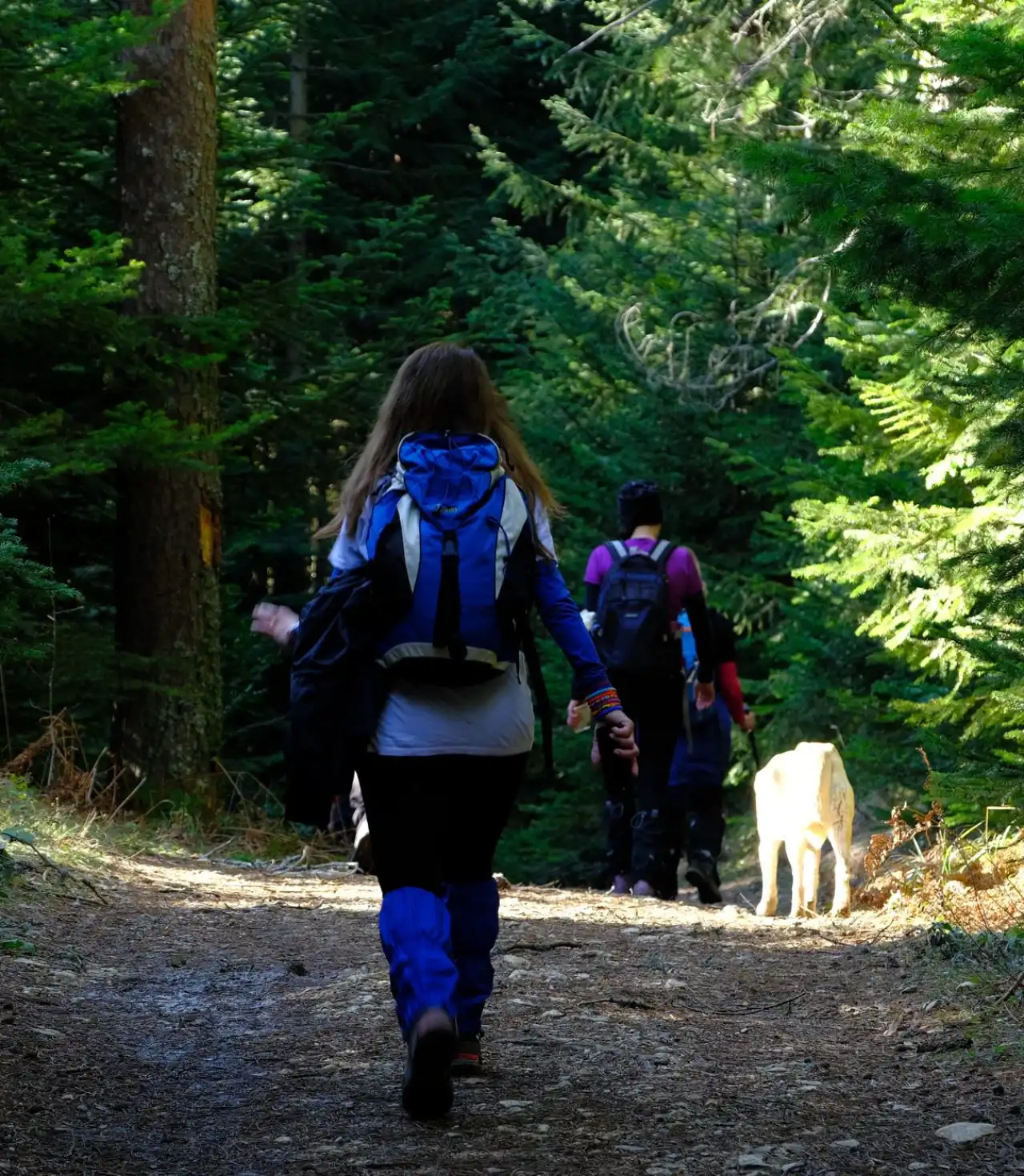 Sülüklügöl Günübirlik Yürüyüş