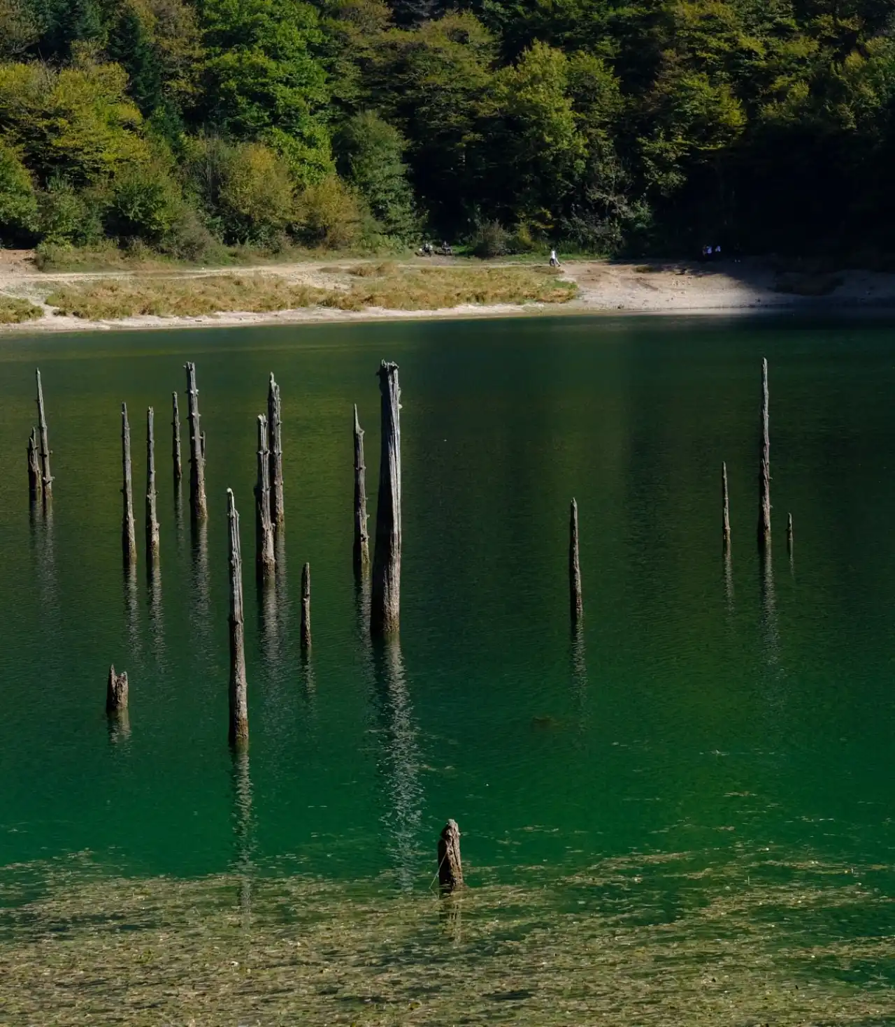 Sülüklügöl Günübirlik Yürüyüş