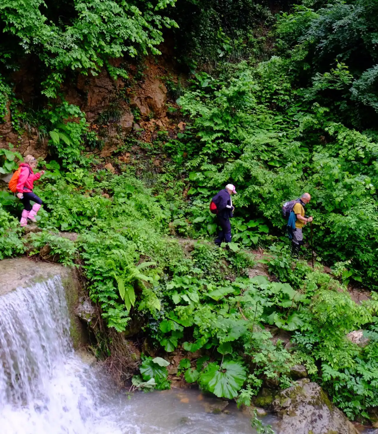Menekşe Yaylası Günübirlik