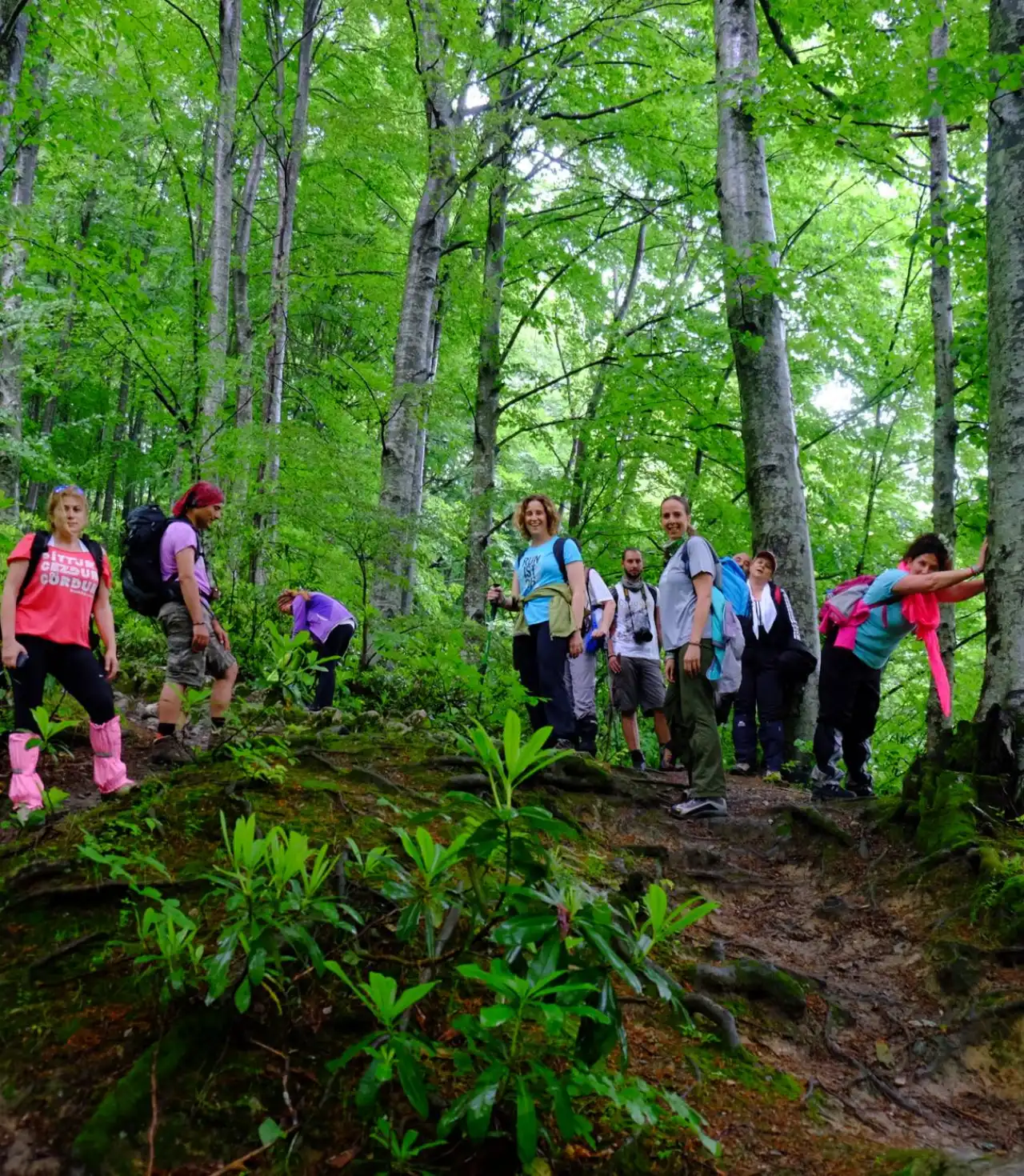 Menekşe Yaylası Günübirlik