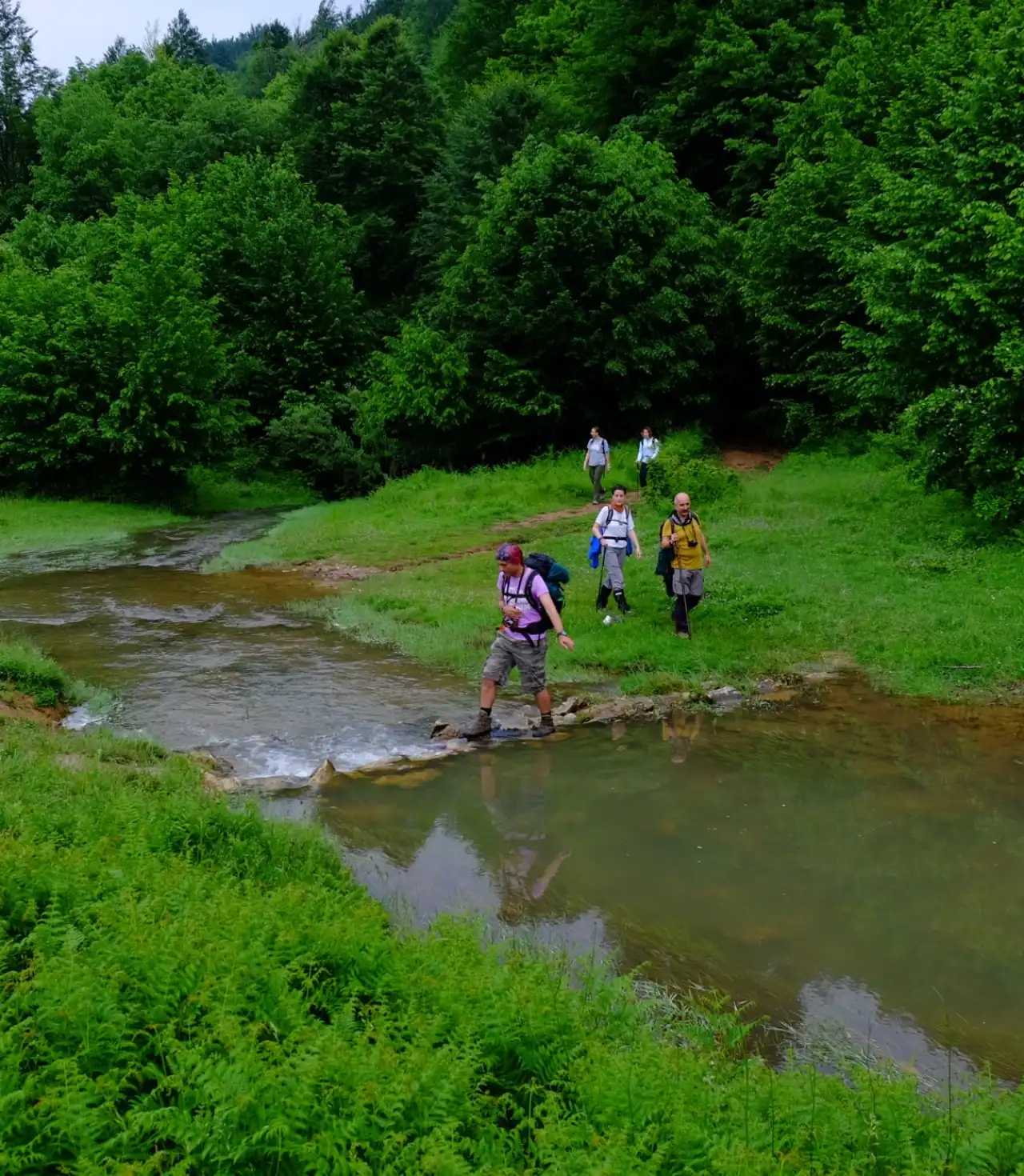 Menekşe Yaylası Günübirlik