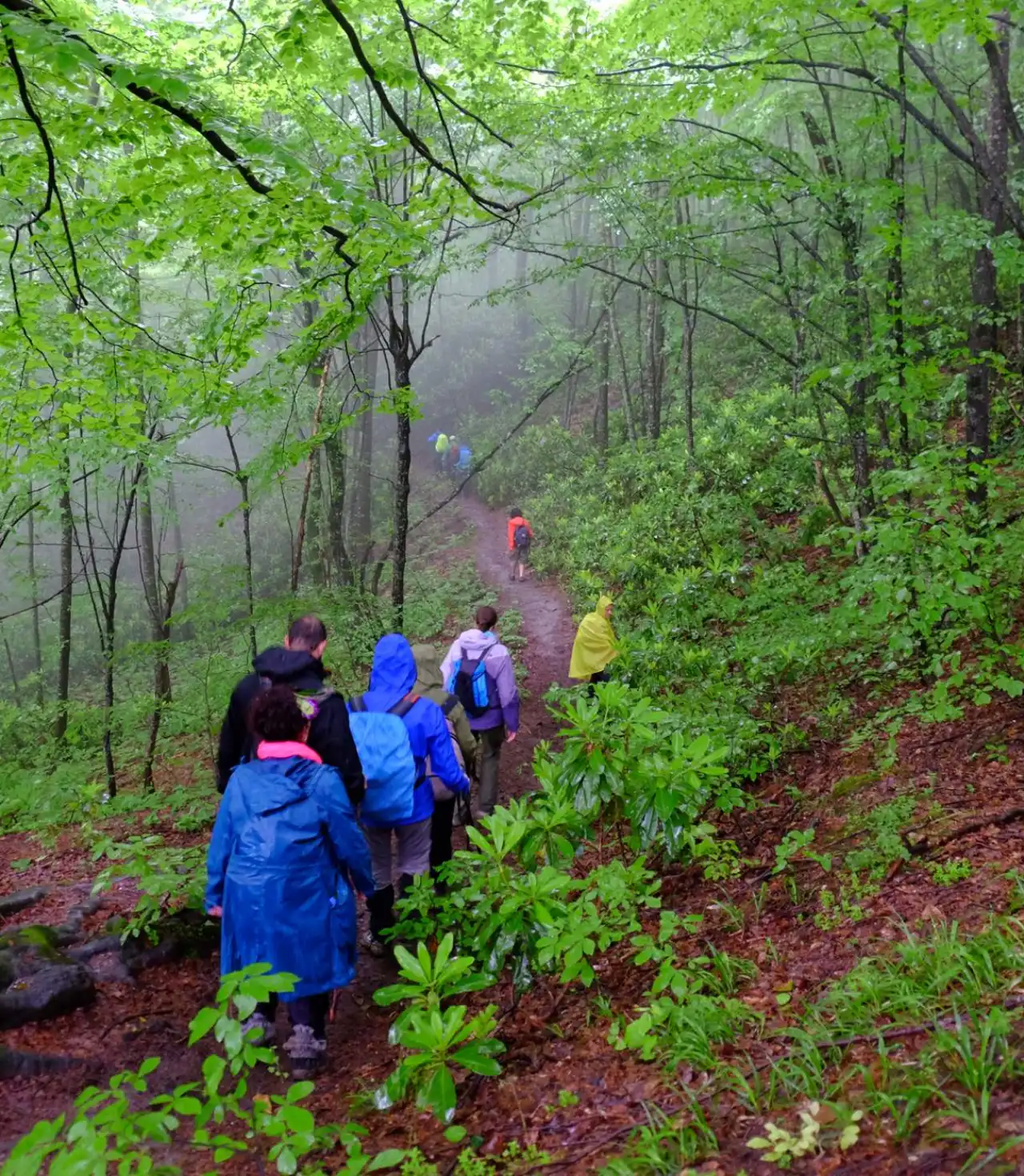 Menekşe Yaylası Günübirlik