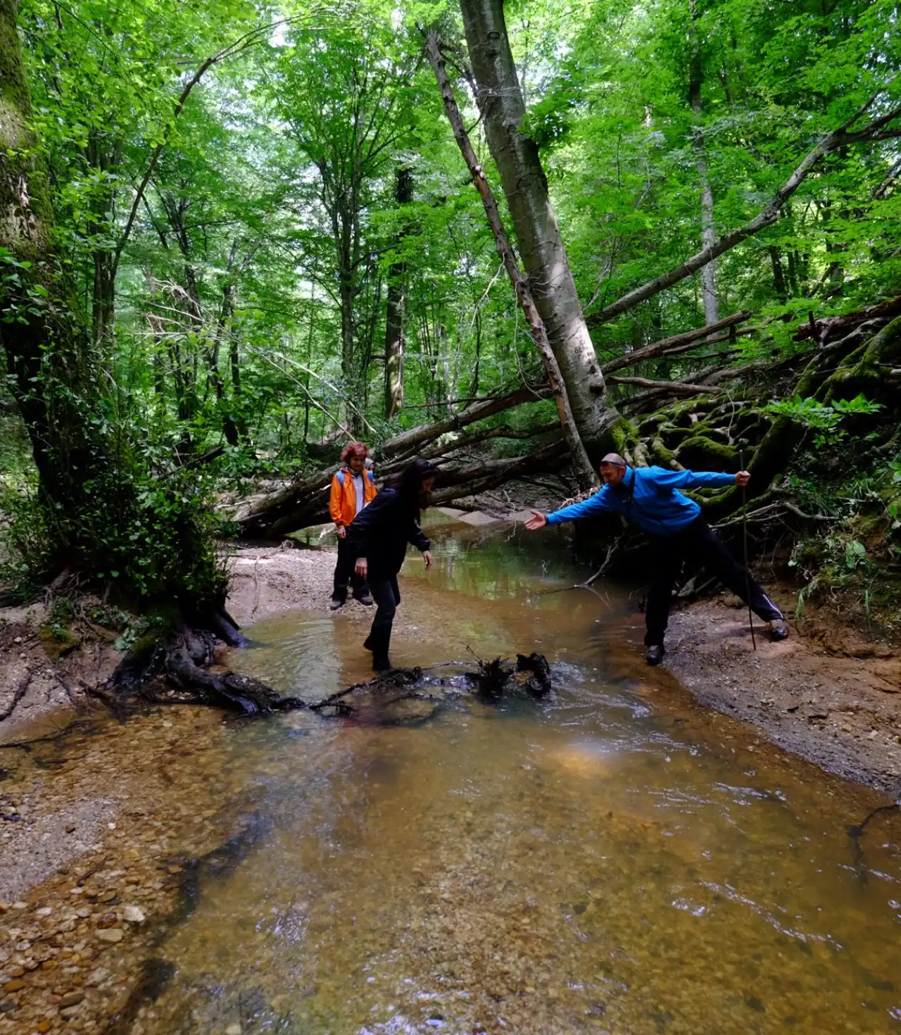 İğneada Çadır Kampı