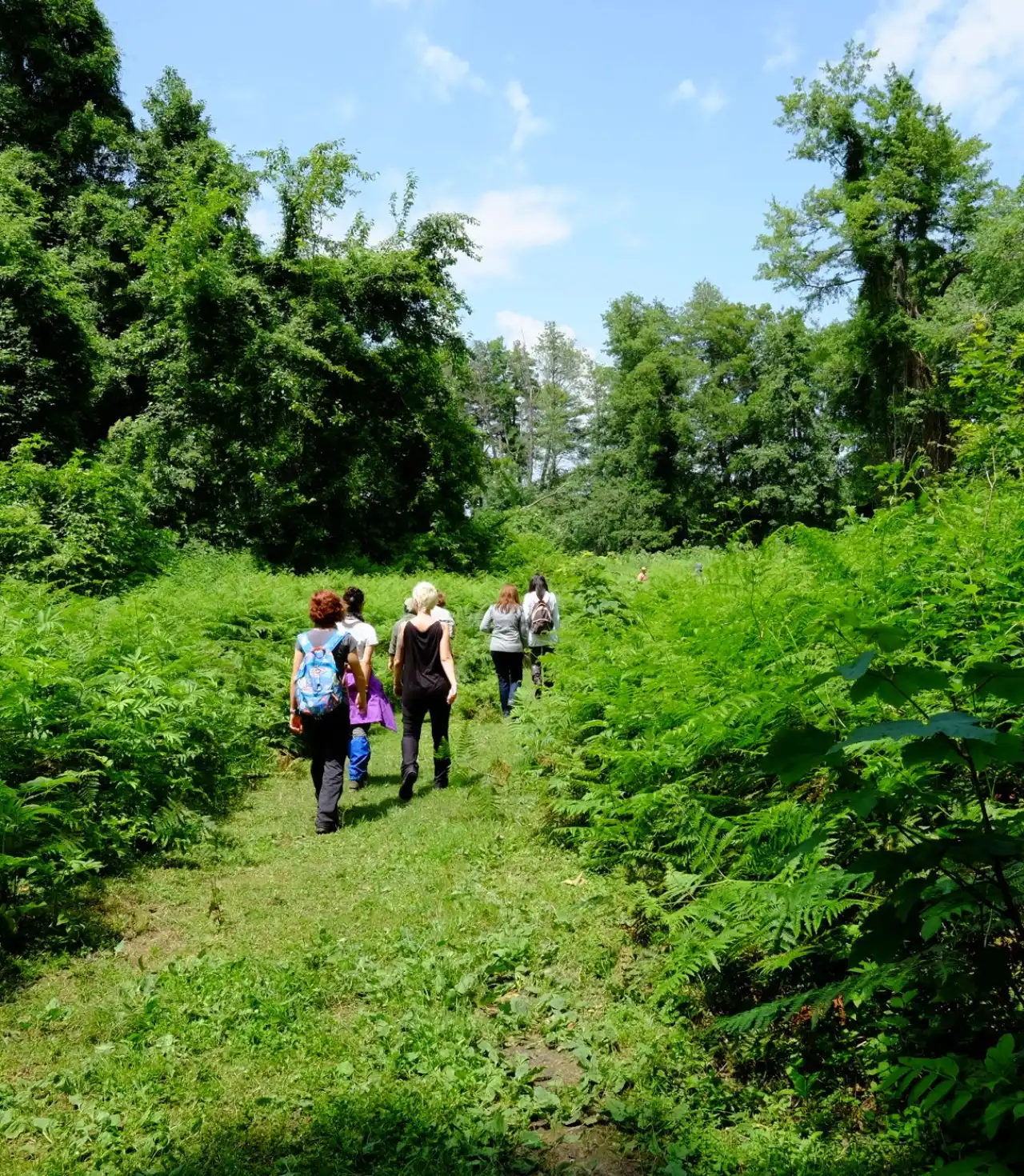 İğneada Çadır Kampı