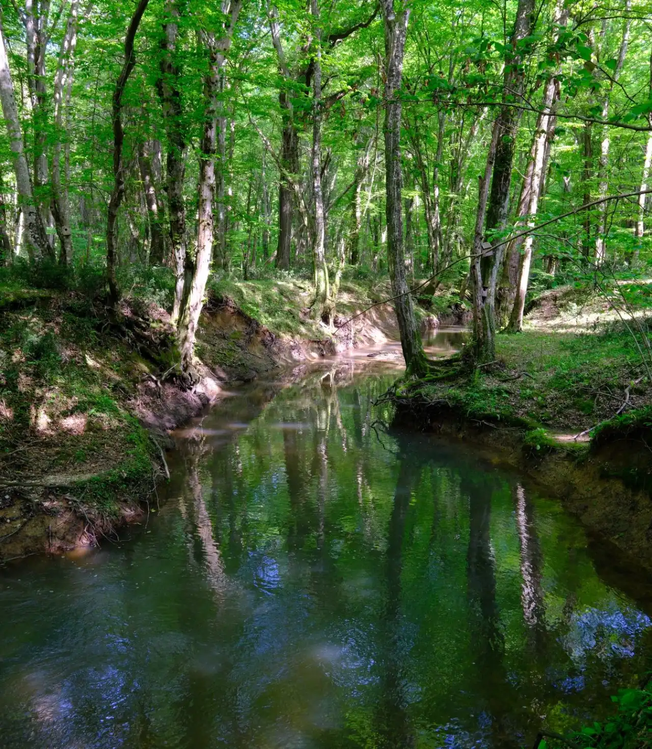 Trakya Gırnata Turu