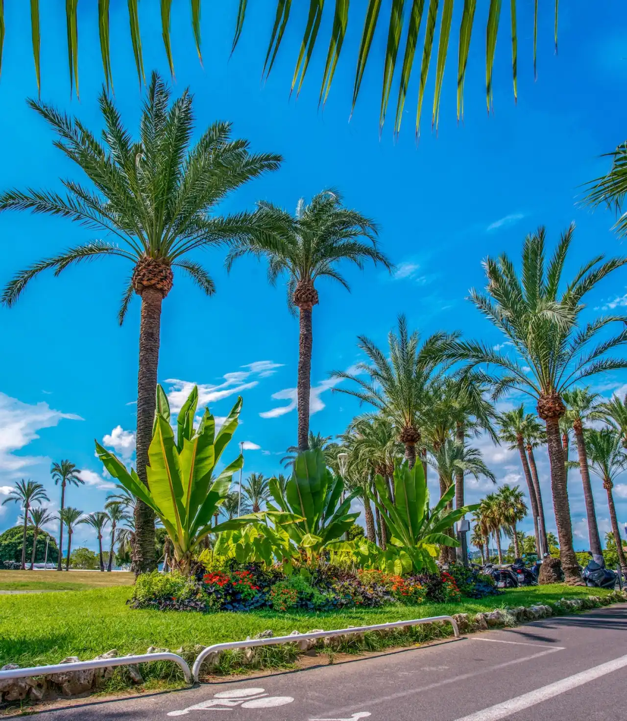 Fransa Côte d’Azur Turu