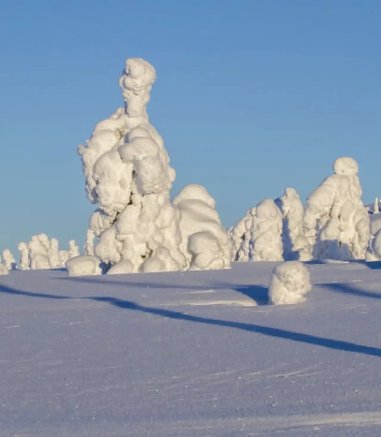 Finlandiya - Lapland Kuzey Işıkları Turu