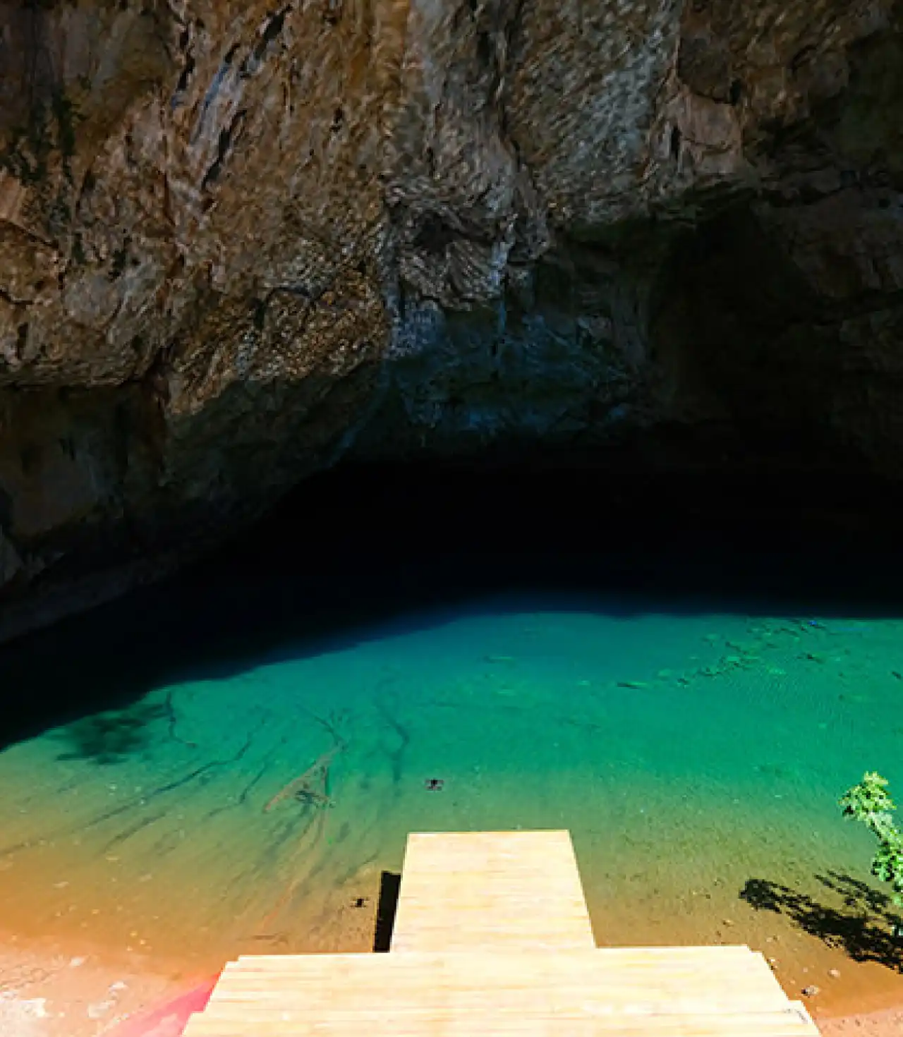 Ormana Düğmeli Evler