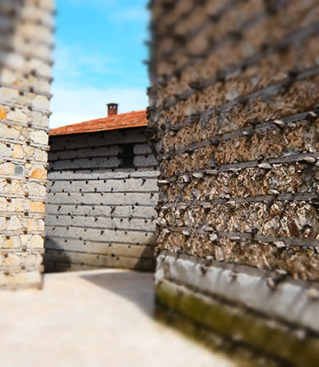 Ormana Düğmeli Evler