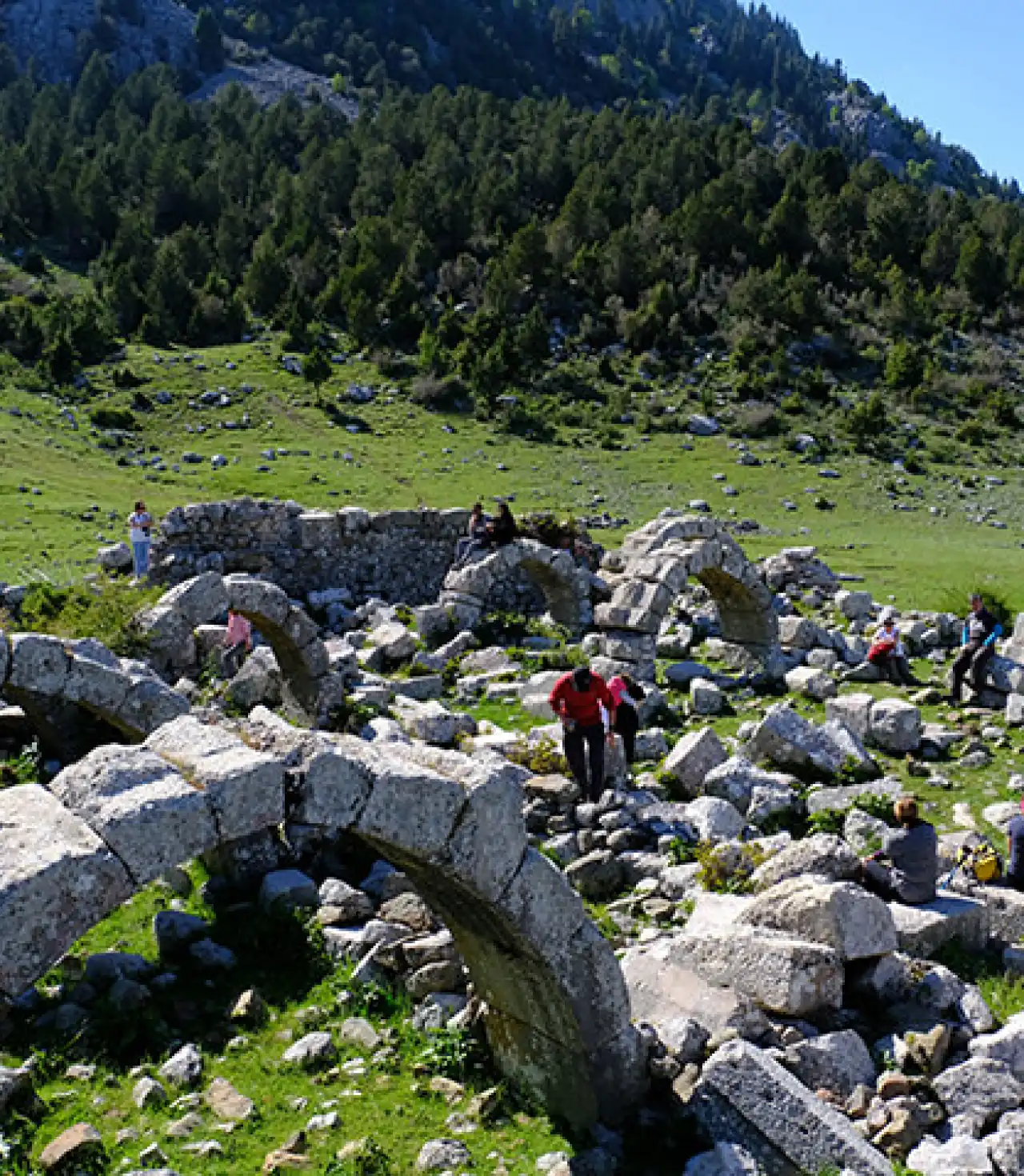 Ormana Düğmeli Evler