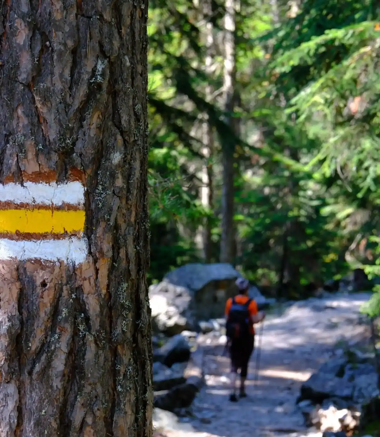 Doğa Yürüyüşleri Premium Gürcistan Bsatum Svaneti Mestia Turu Macerası: Batum, Mestia, Ushguli ve Svaneti Turu Gökyüzü
