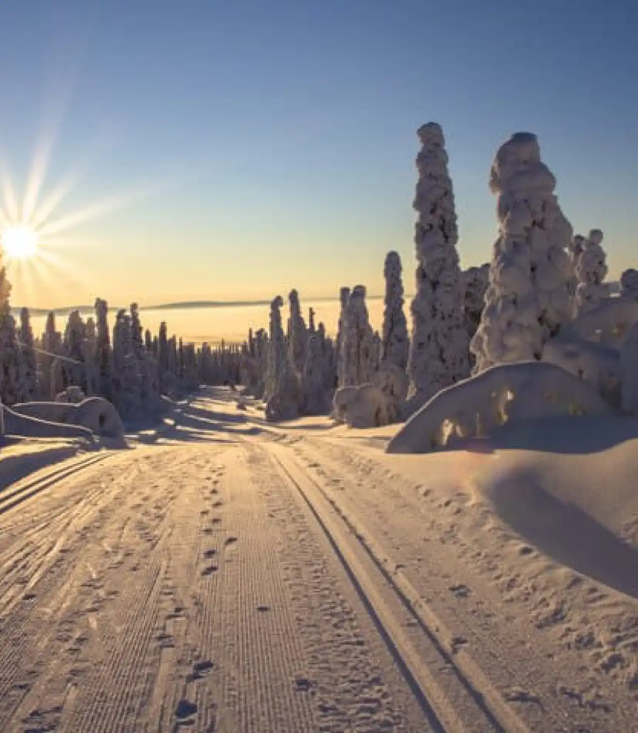 İsveç - Lapland Ve Kuzey Işıkları (Igloo Konaklamalı) İsveç - Lapland Ve Kuzey Işıkları (Igloo Konaklamalı)