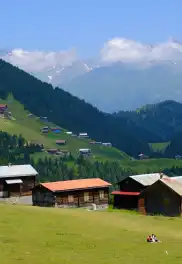 Pokut Ve Sal Yaylası