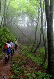Aytepe Günübirlik Doğa Yürüyüşü