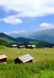 Yaylalar arası yürüyüşler