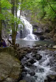 Günübirlik Erikli Yaylası