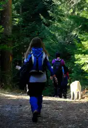 Sülüklügöl Günübirlik Yürüyüş