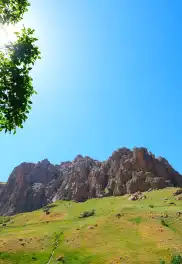 Hakkari Vadileri Ağaç