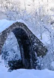 Doğu Karadeniz Nordic Otel'de Yılbaşı Turu