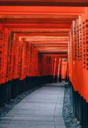 Japonya Turu: Tokyo, Kyoto ve Fuji Dağı'na Yolculuk