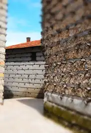 Ormana Düğmeli Evler