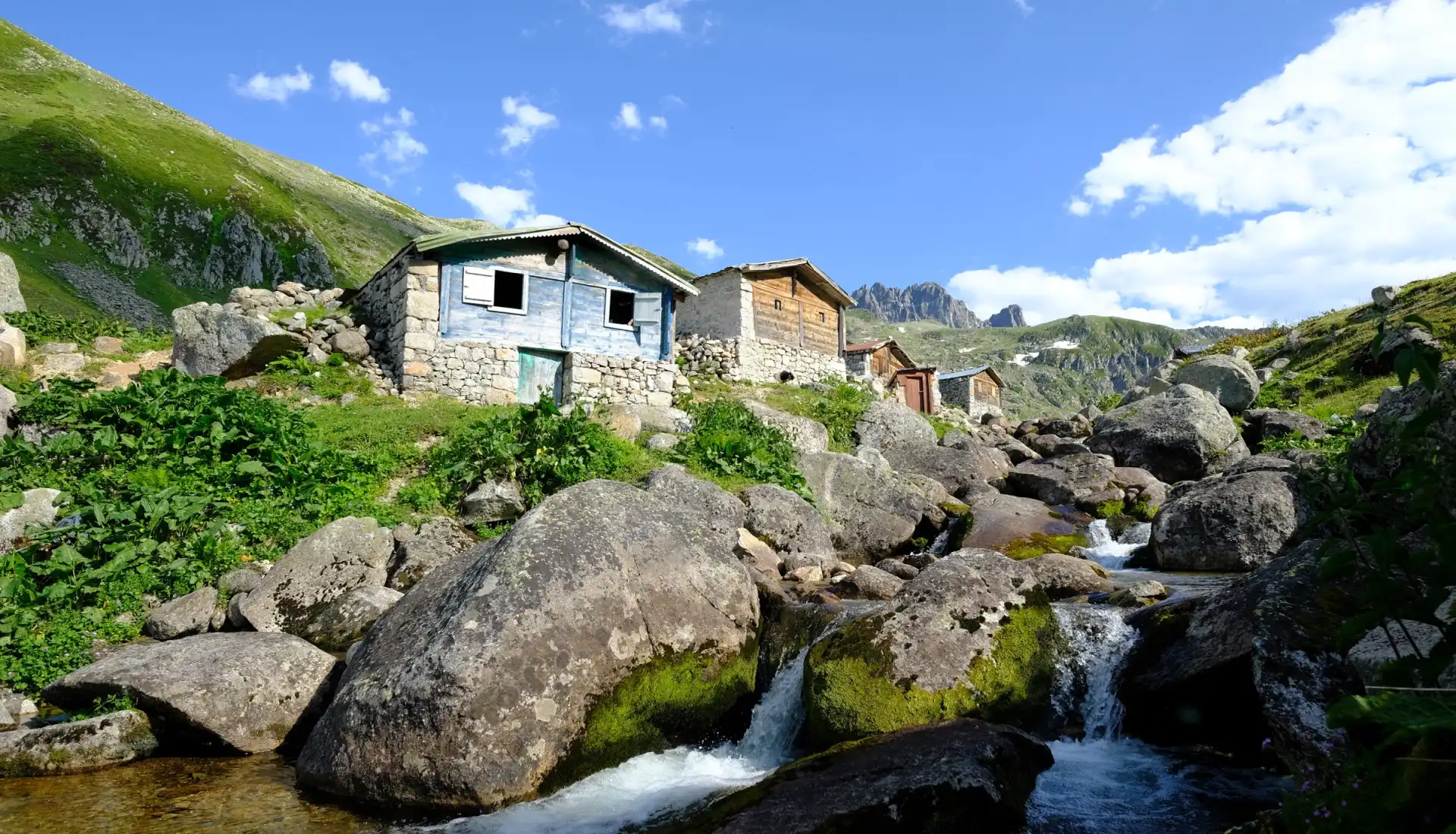 Yerel yaşam deneyimi