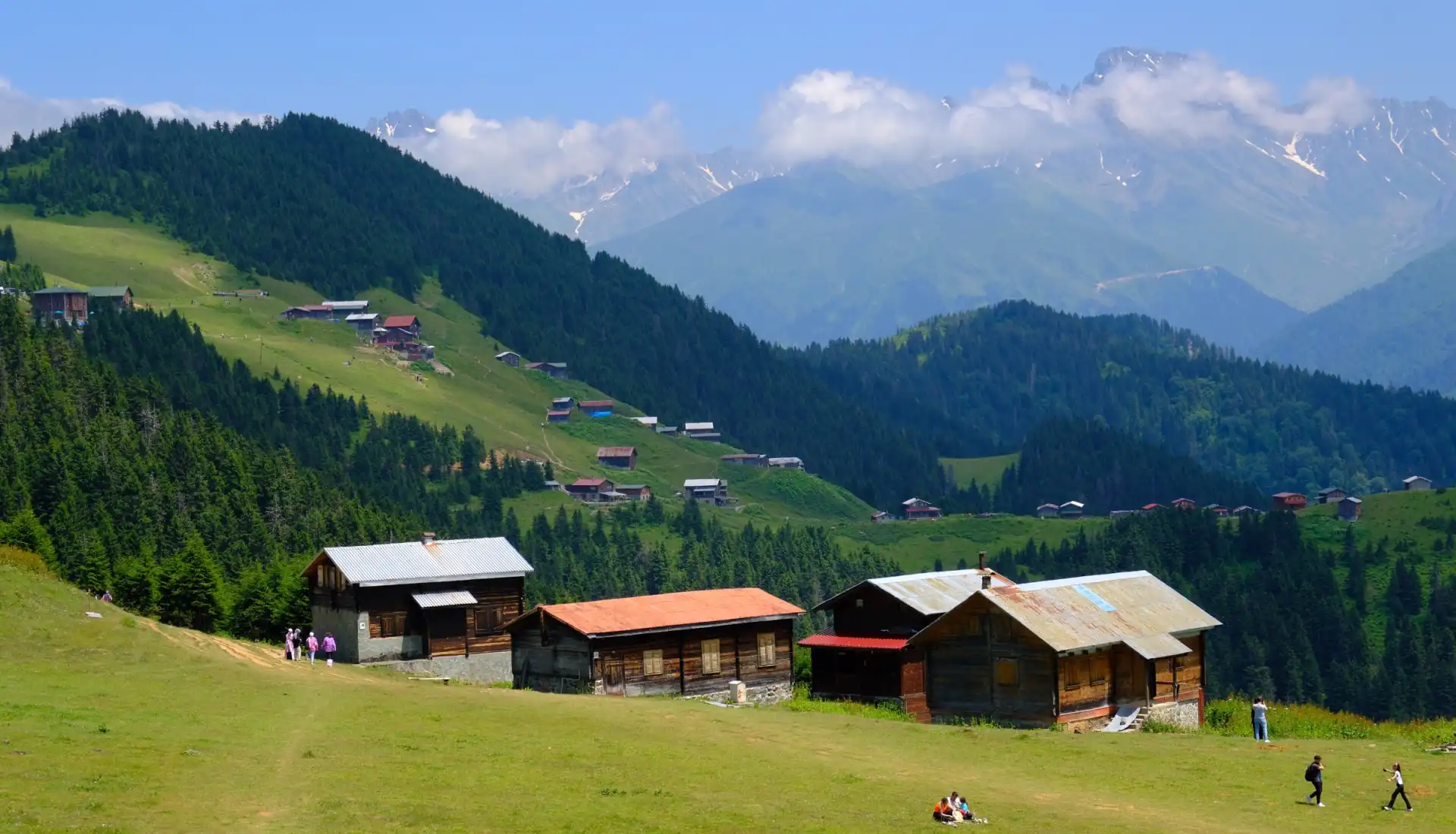 Pokut Ve Sal Yaylası