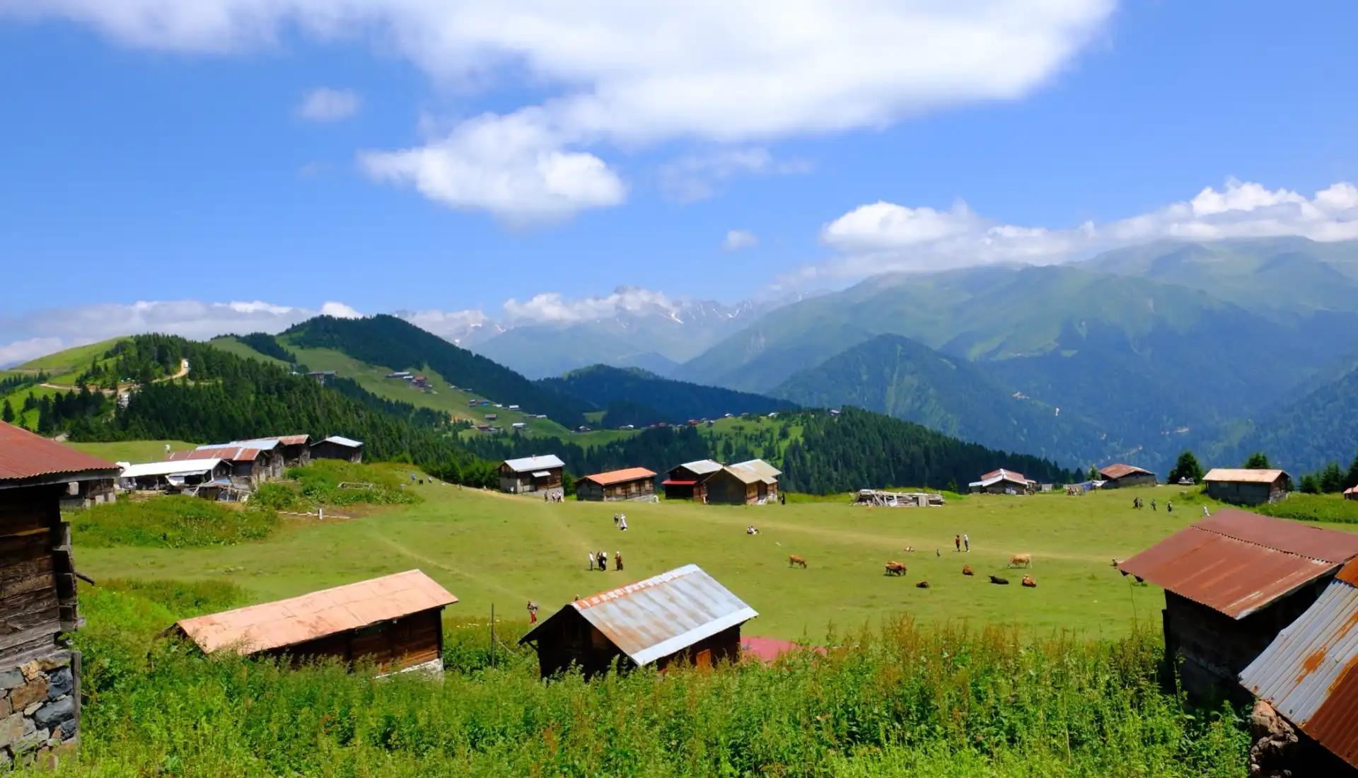 Yaylalar arası yürüyüşler