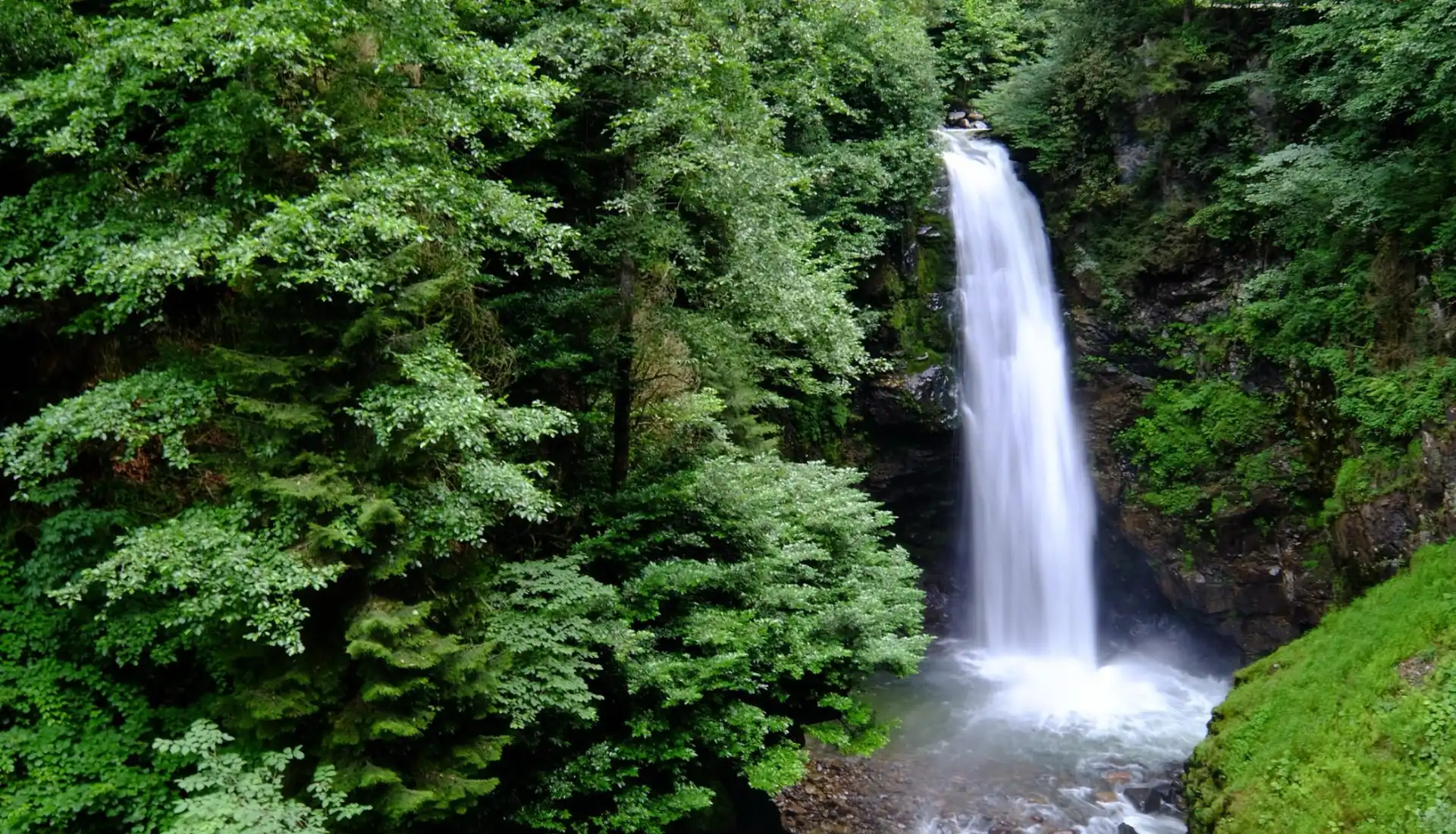 Rize'nin debisi en yüksek şelalesi