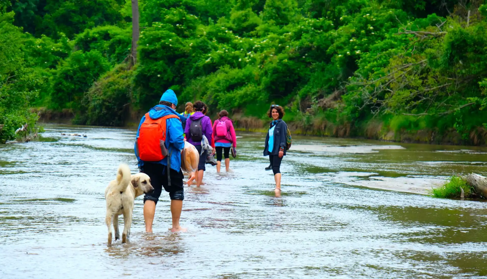 İğneada Longoz Ormanları