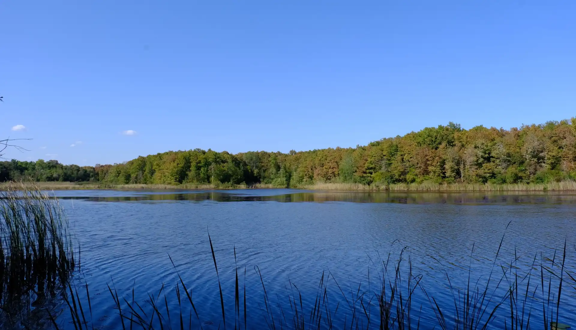 İğneada Longoz Ormanları