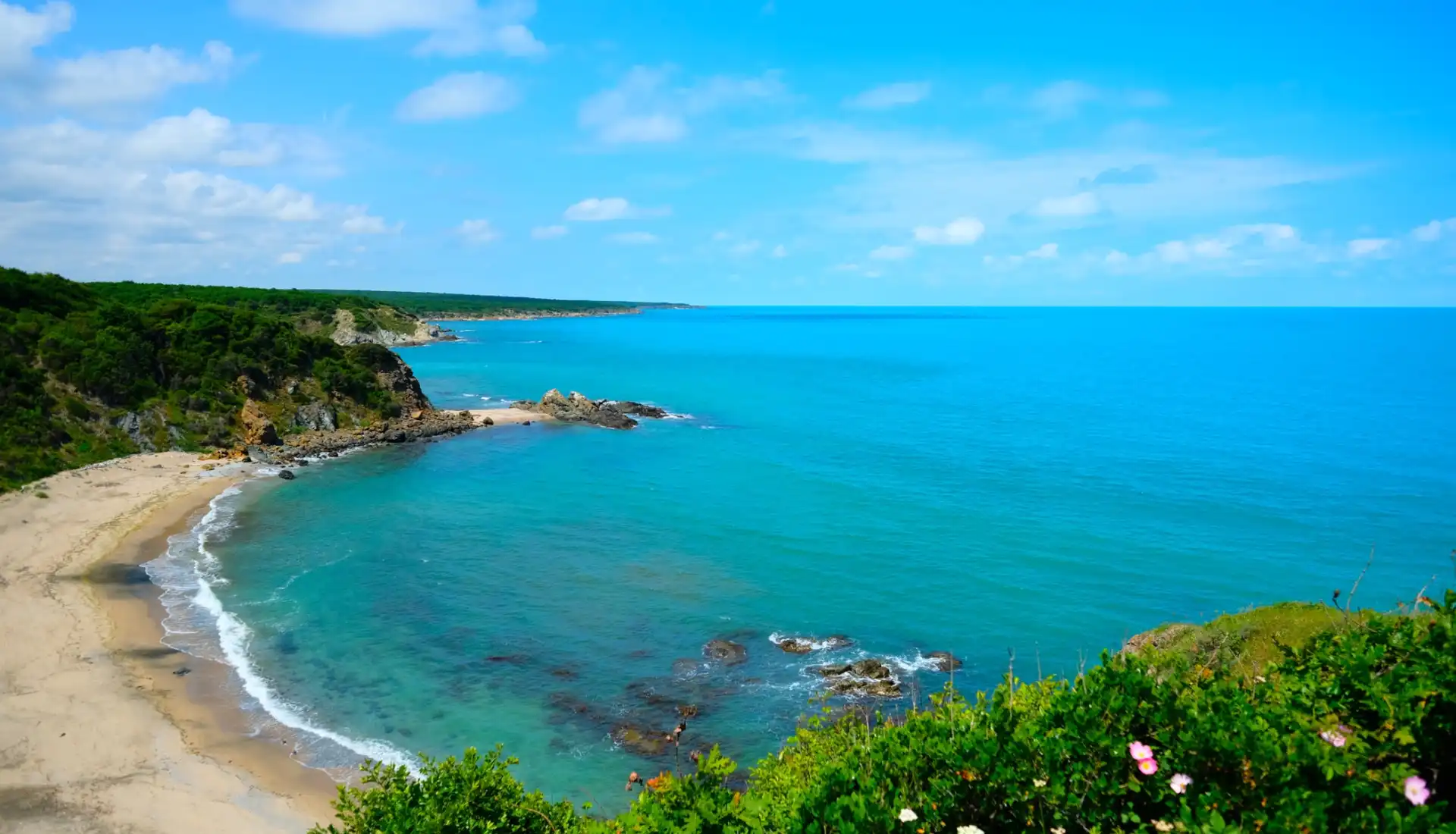 İğneada Longoz Ormanları