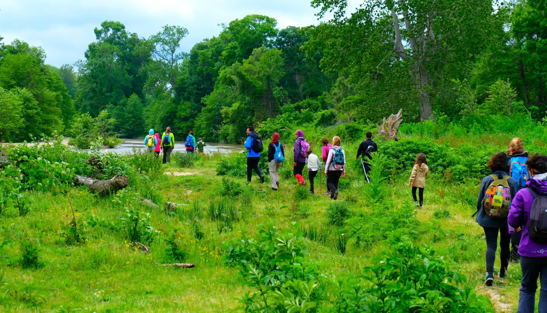 İğneada Longoz Ormanları