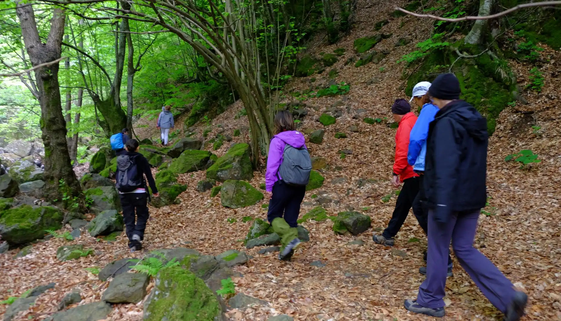 Günübirlik Erikli Yaylası