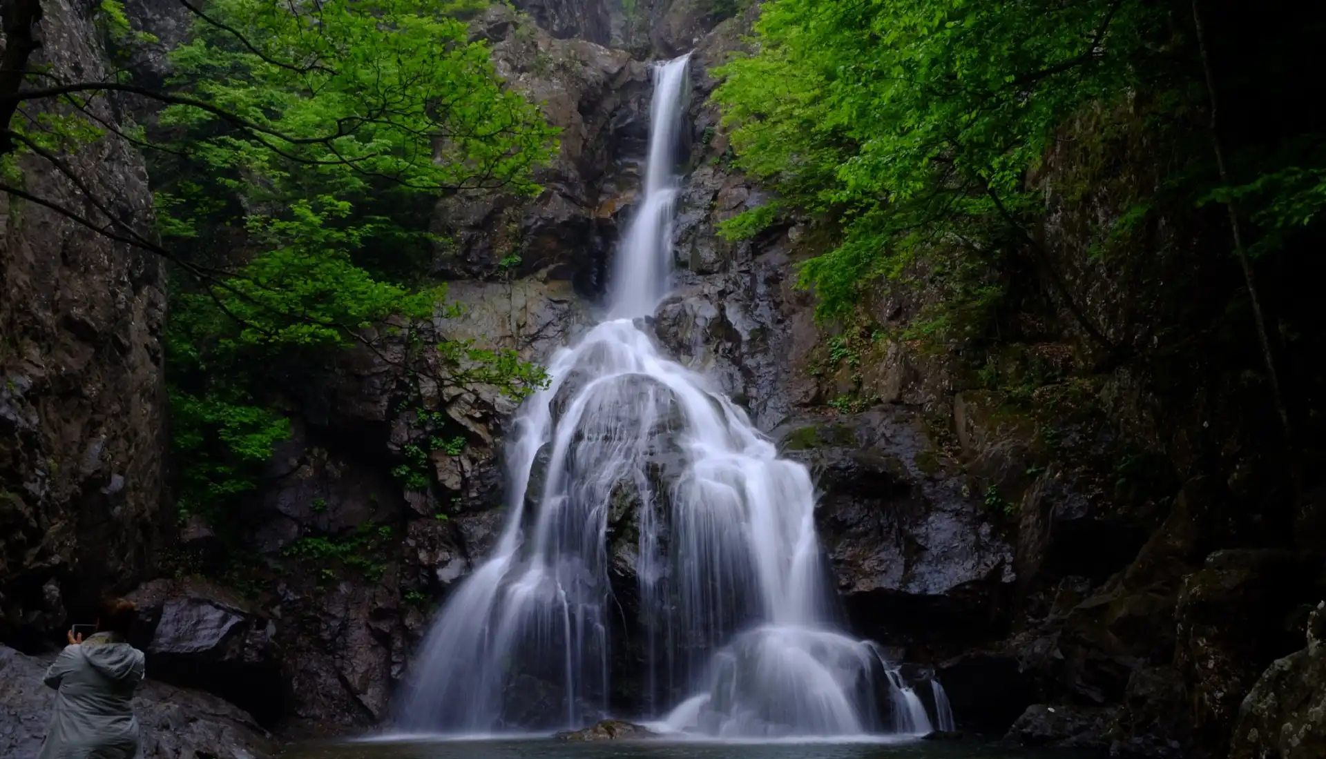 Günübirlik Erikli Yaylası