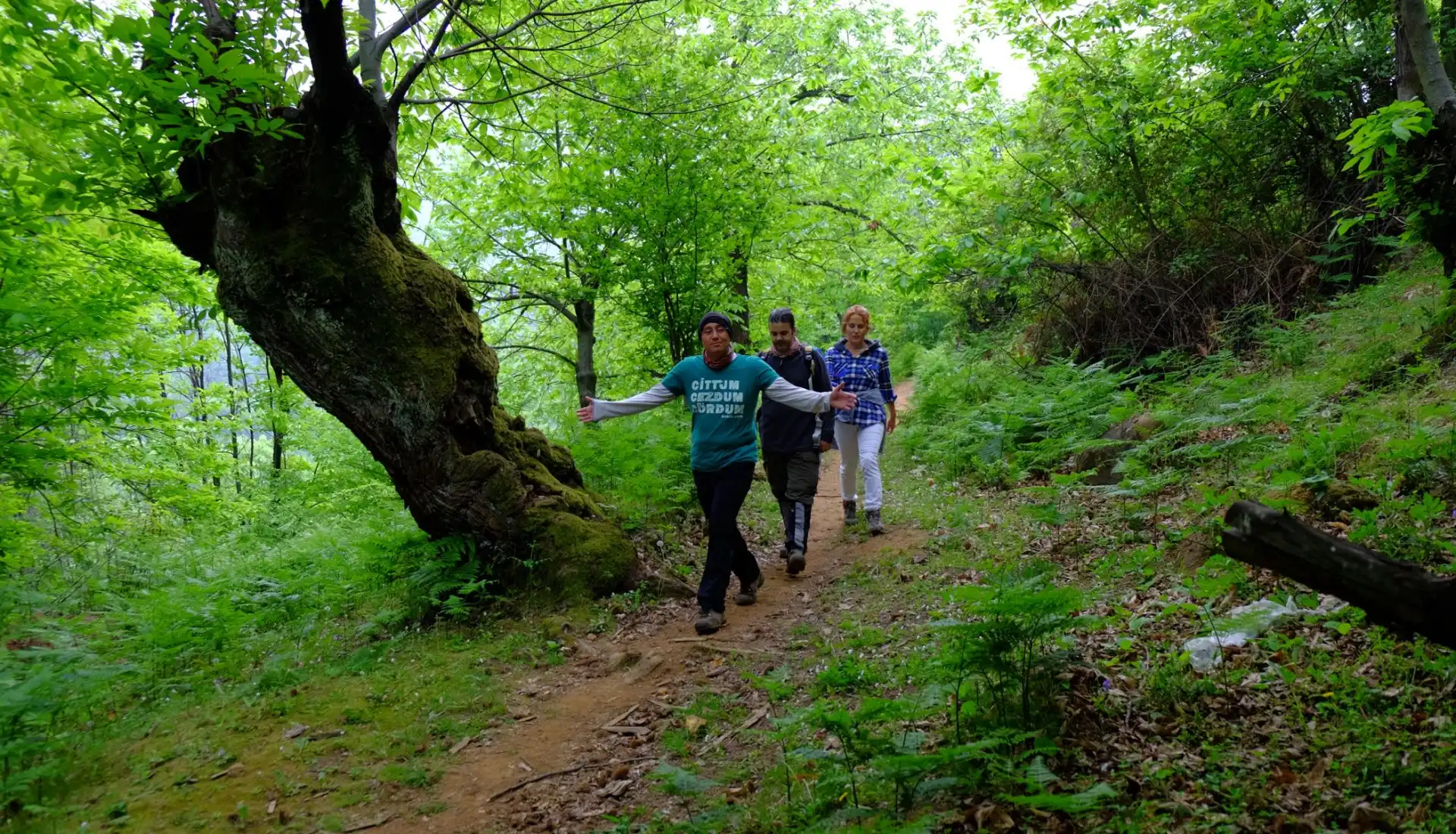 Günübirlik Erikli Yaylası