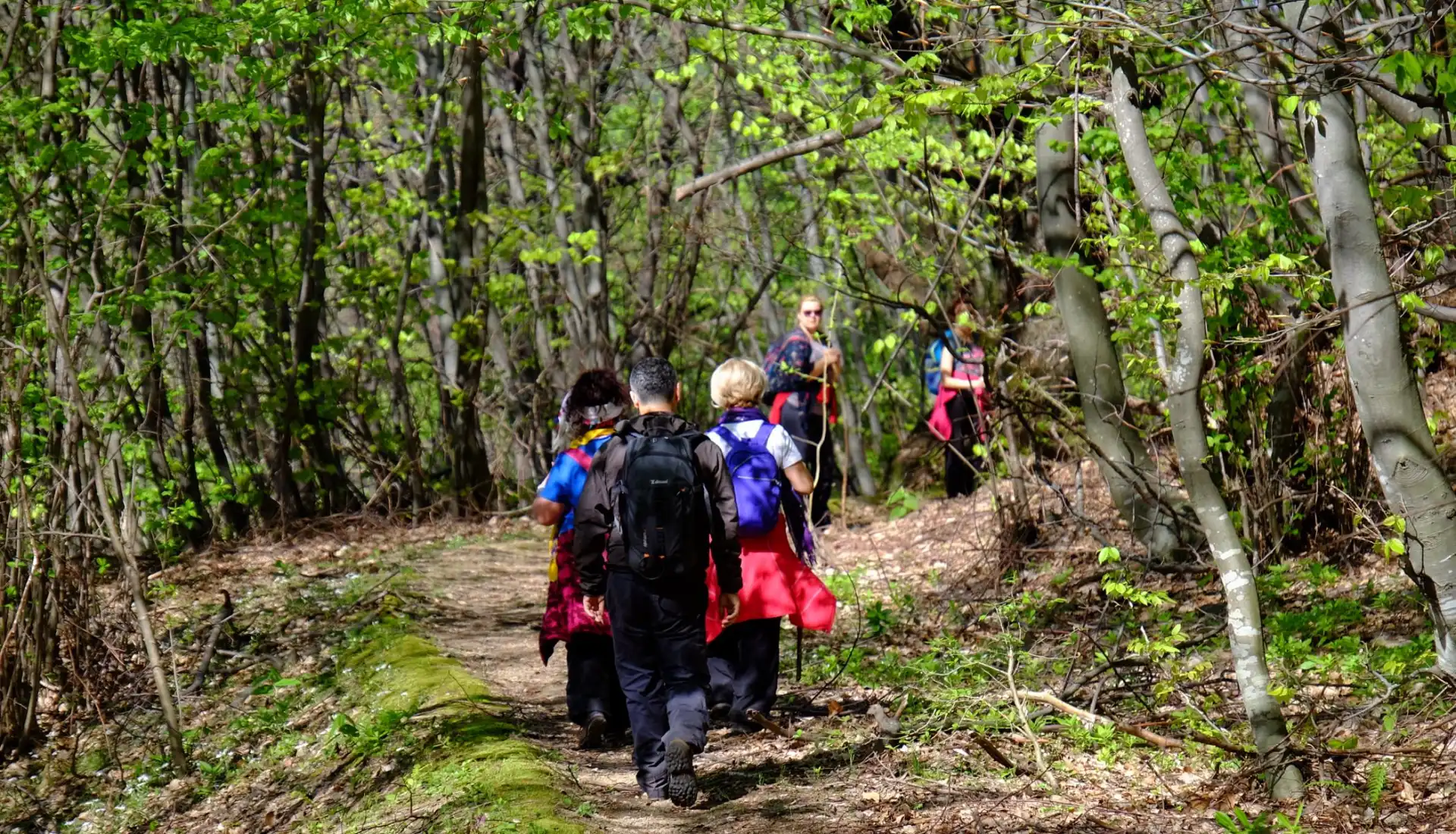 Günübirlik Erikli Yaylası