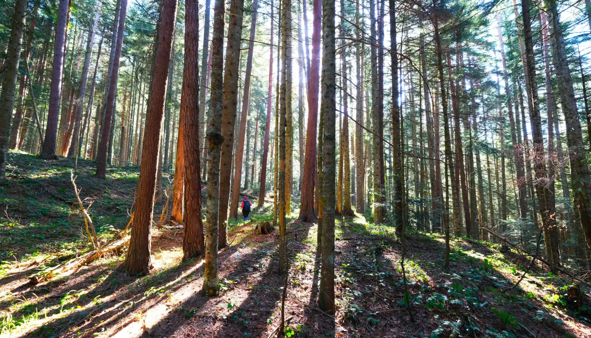 Sülüklügöl Günübirlik Yürüyüş