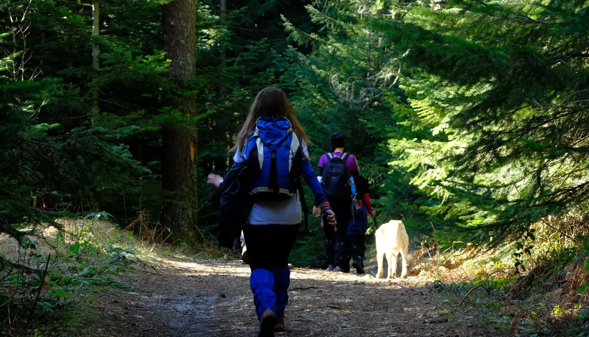 Sülüklügöl Günübirlik Yürüyüş