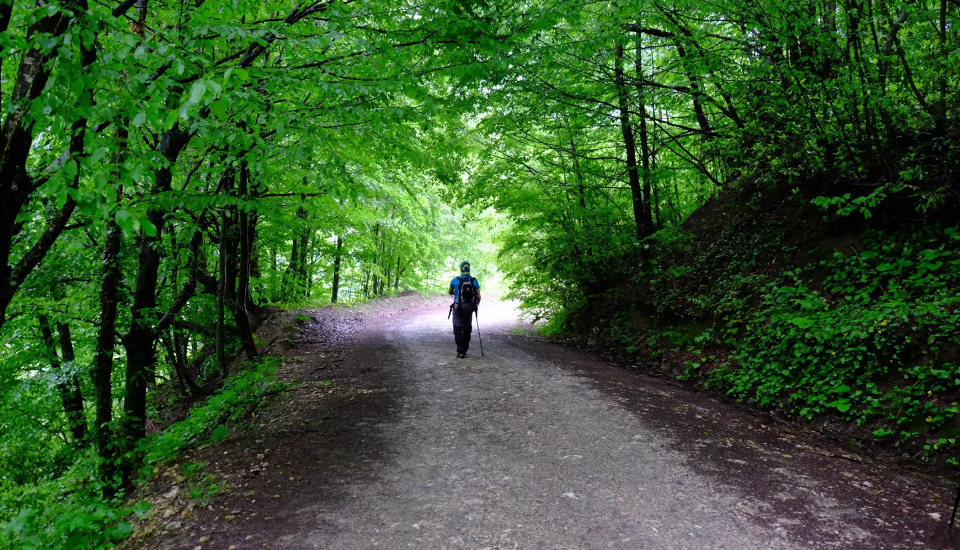 Menekşe Yaylası Günübirlik
