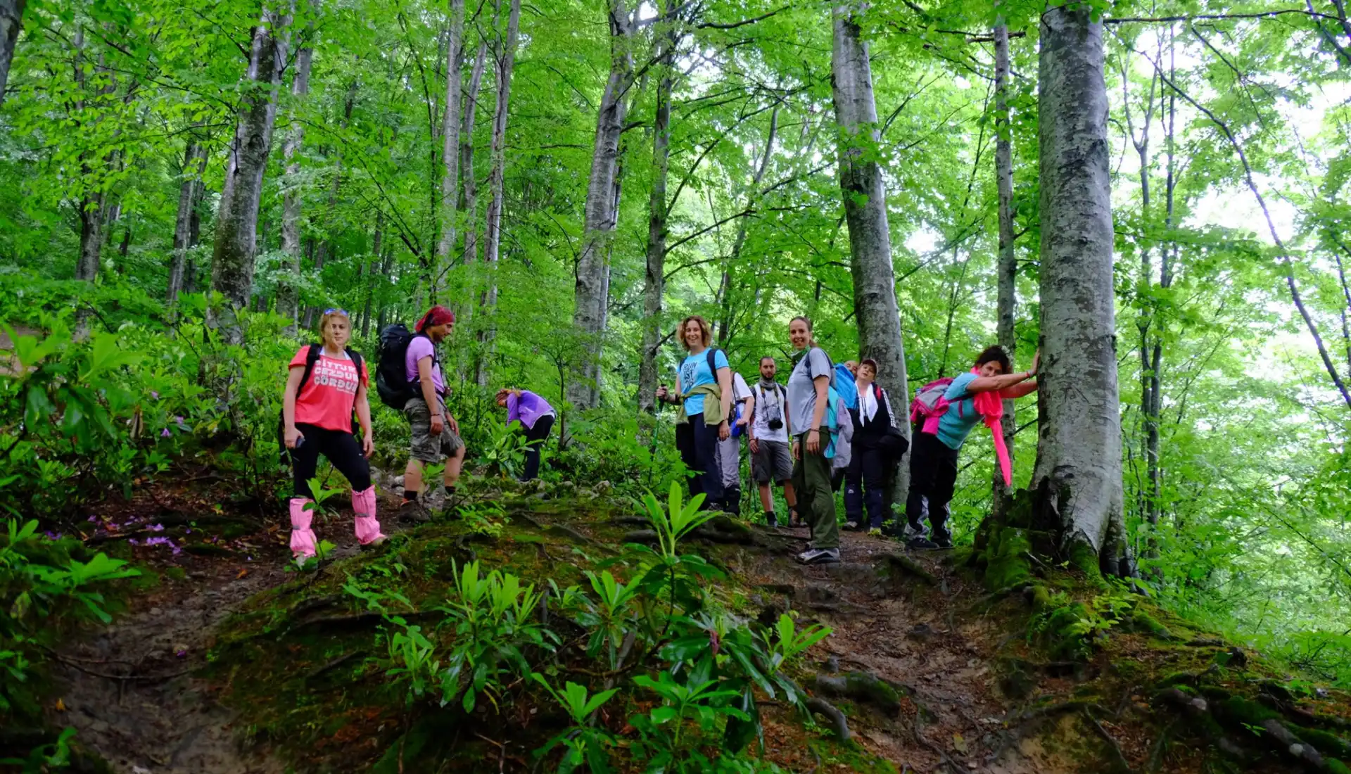 Menekşe Yaylası Günübirlik