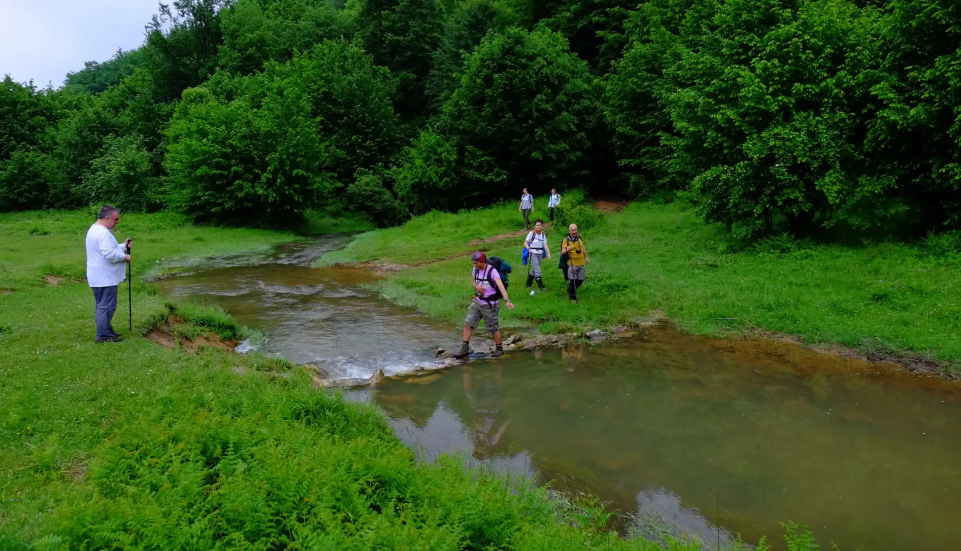Menekşe Yaylası Günübirlik