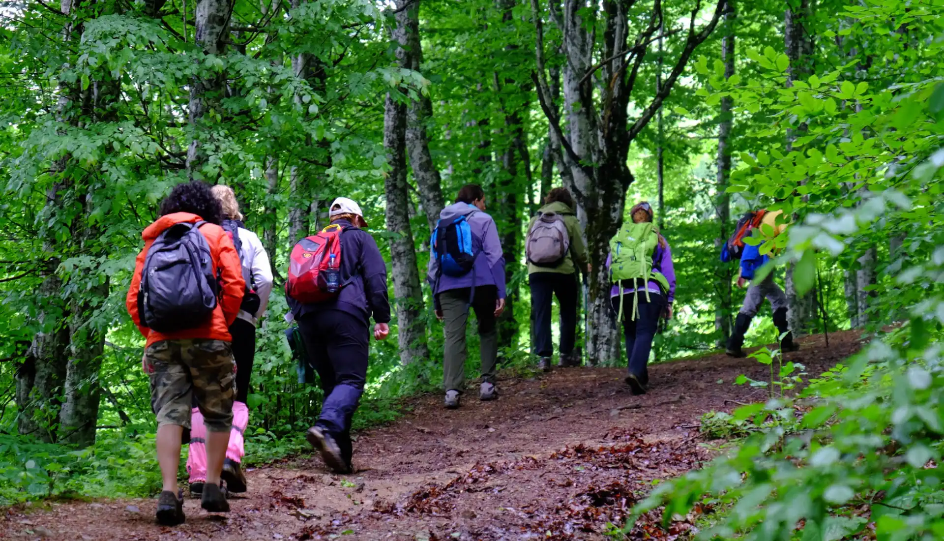 Menekşe Yaylası Günübirlik