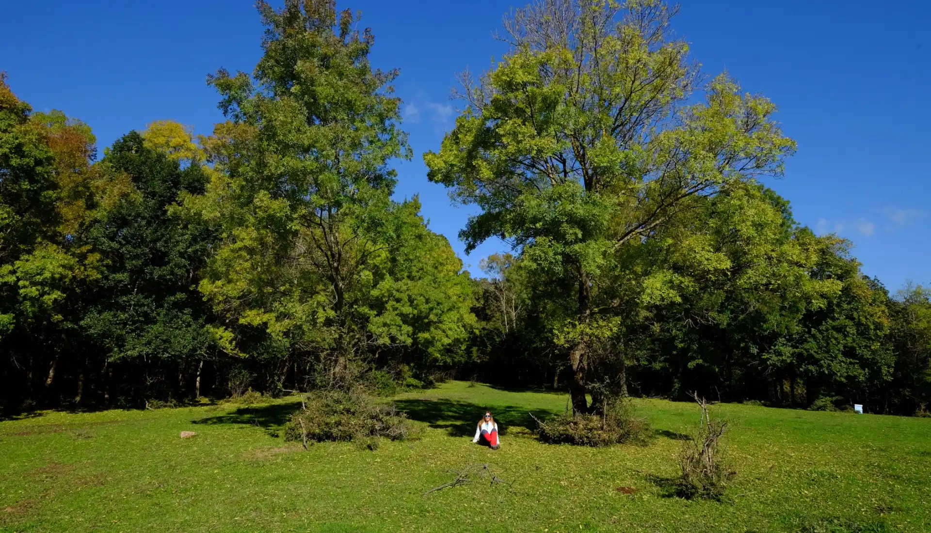 İğneada Çadır Kampı