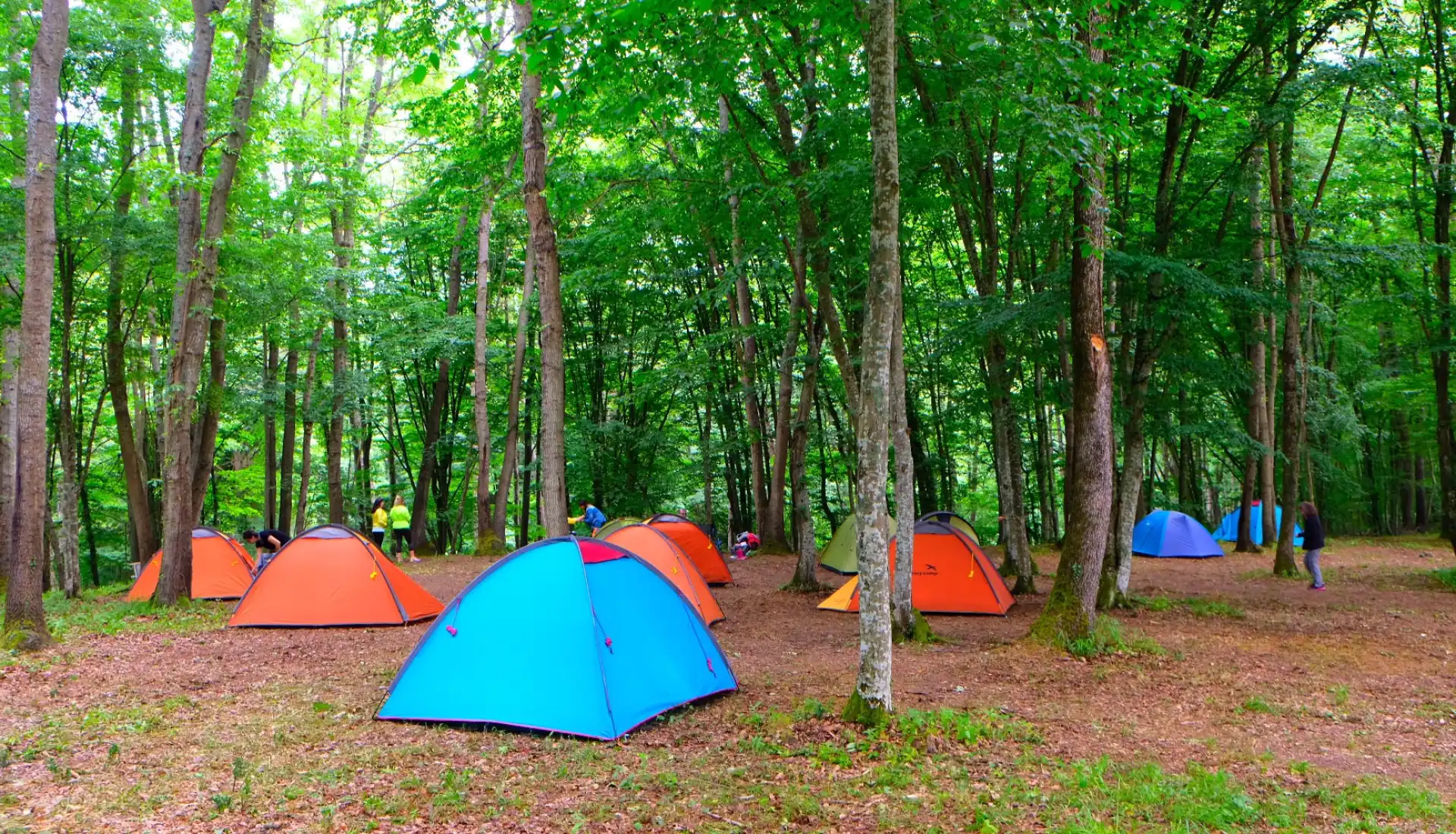 İğneada Çadır Kampı