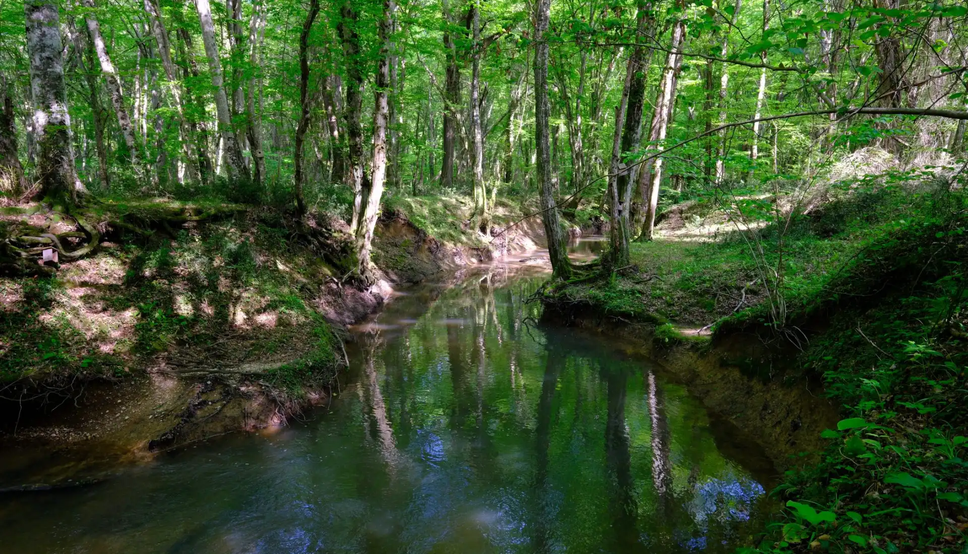 Trakya Gırnata Turu