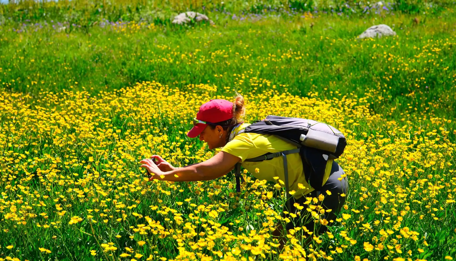 Berçelan Yaylası Fotoğrafçılık